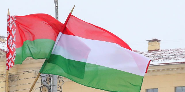 флаг беларуси и венгрии