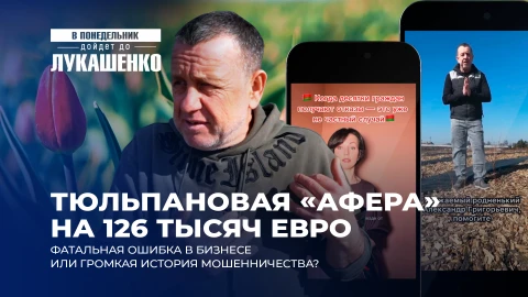 В понедельник дойдет до Лукашенко | "Бизнес" на тюльпанах: кто обманул белорусов на 126 тысяч евро? В понедельник дойдет до Лукашенко | "Бизнес" на тюльпанах: кто обманул белорусов на 126 тысяч евро?