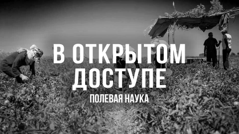В открытом доступе | Полевая наука В открытом доступе | Полевая наука