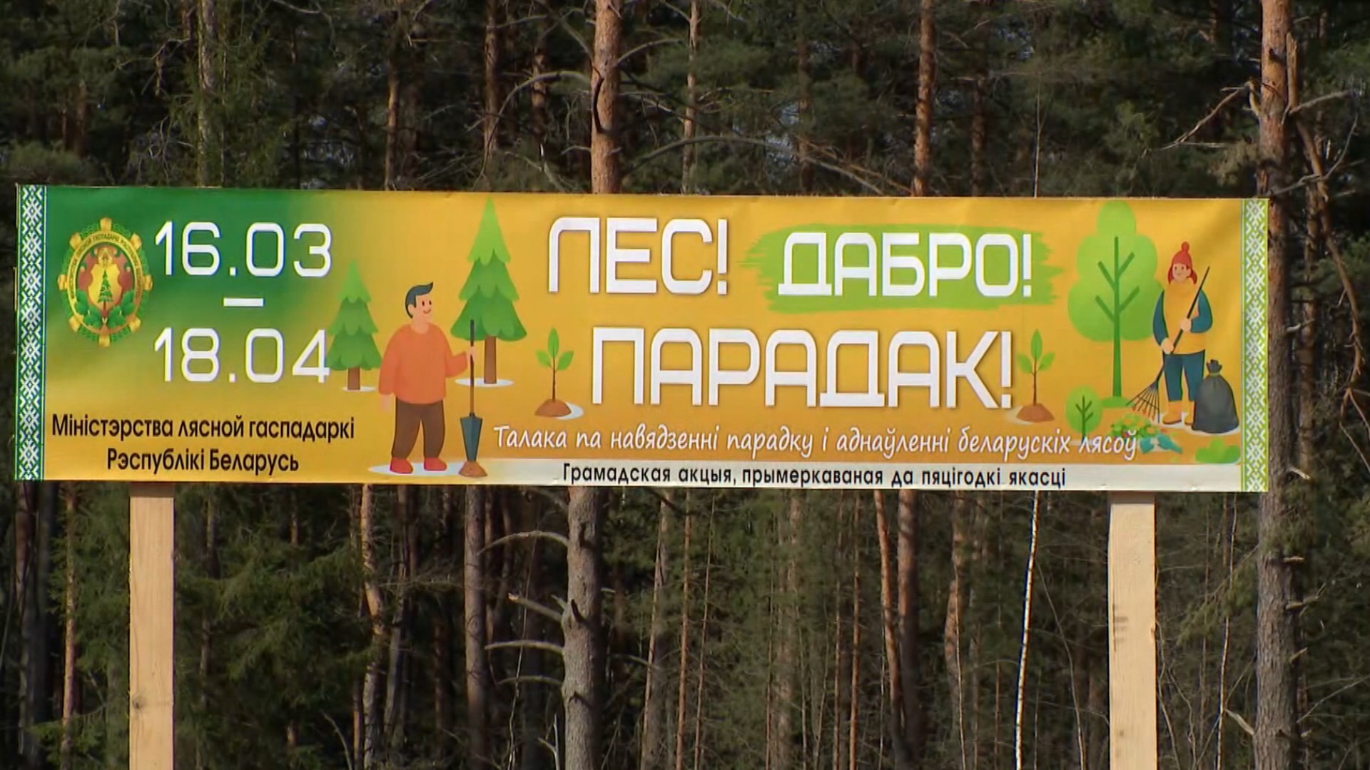 акция по восстановлению леса