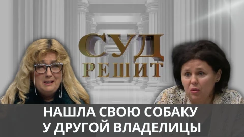 Суд решит | Нашла свою собаку у другой владелицы Суд решит | Нашла свою собаку у другой владелицы