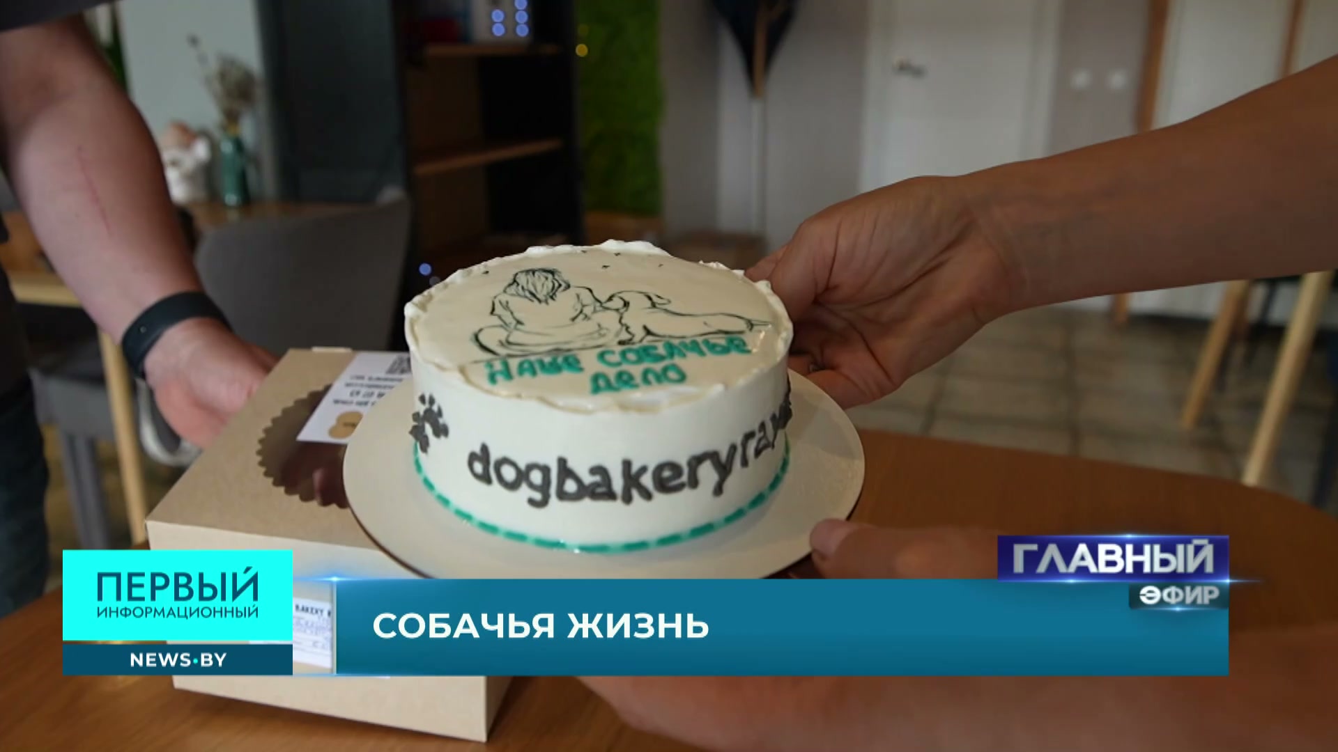 Торт для собак Торт для собак