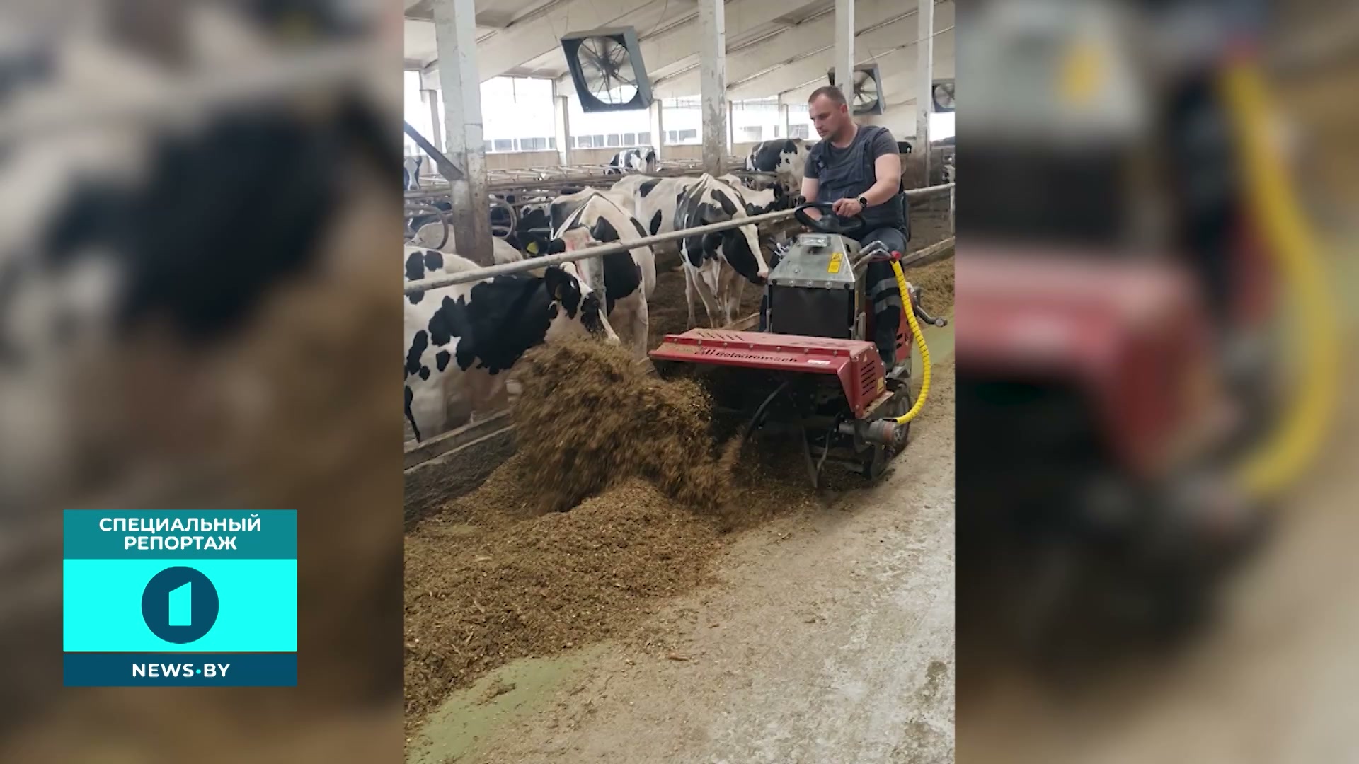 самоходная машина для обслуживания кормового стола животных