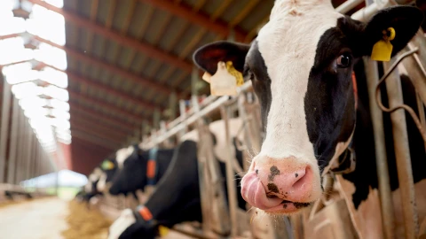 Сфера интересов | Готова ли система сельского хозяйства к холодам Сфера интересов | Готова ли система сельского хозяйства к холодам