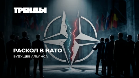 Тренды | Трамп ломает НАТО: конец единого щита | Европа раскалывается на два лагеря Тренды | Трамп ломает НАТО: конец единого щита | Европа раскалывается на два лагеря