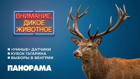 Панорама | 13.04.2026 Панорама | 13.04.2026