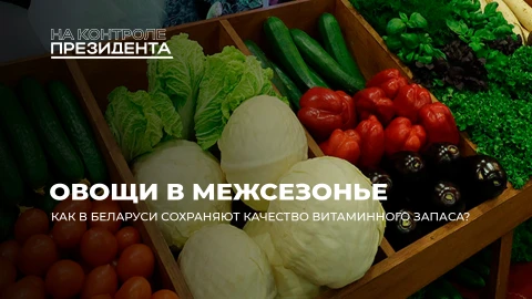 На контроле Президента | Фрукты и овощи круглый год: как в Беларуси сохраняют урожай в стабфондах На контроле Президента | Фрукты и овощи круглый год: как в Беларуси сохраняют урожай в стабфондах