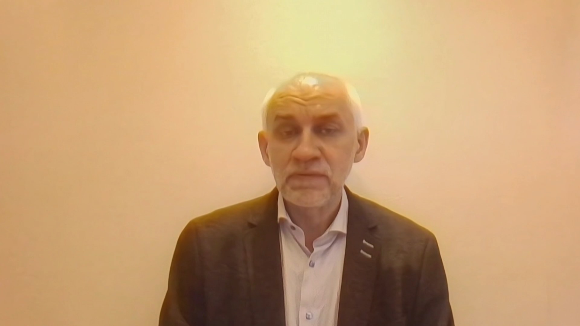 Владимир Шаповалов, замдиректора Института истории и политики МПГУ (Россия) Владимир Шаповалов, замдиректора Института истории и политики МПГУ (Россия)