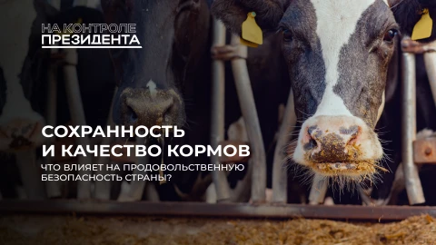 На контроле Президента | Заготовка кормов: от чего зависит качество мясо-молочной продукции? На контроле Президента | Заготовка кормов: от чего зависит качество мясо-молочной продукции?