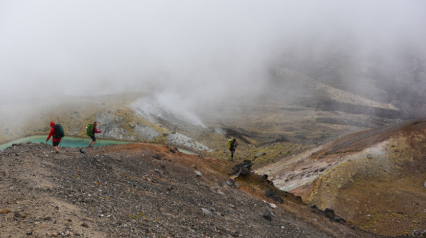 Лесные пожары в Новой Зеландии. Фото Синьхуа