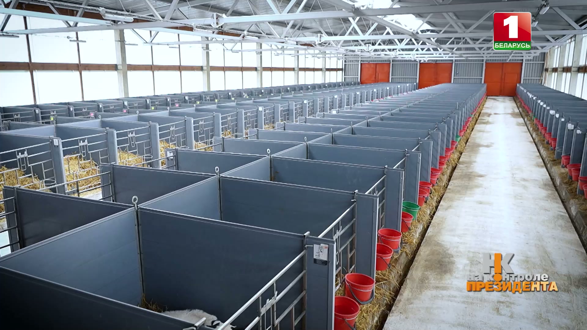 Молочно-товарная ферма "Котяги" ОАО "Игнатичи"