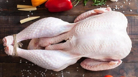 Сфера интересов | Беларусь будет экспортировать мясо индейки в КНР Сфера интересов | Беларусь будет экспортировать мясо индейки в КНР