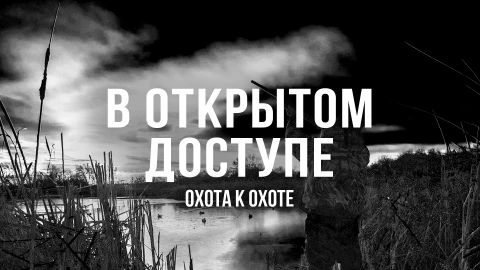 В открытом доступе | Охота на охоту В открытом доступе | Охота на охоту