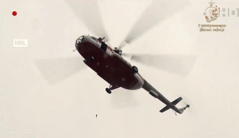 Истории спасения 30.12.2018 Истории спасения 30.12.2018