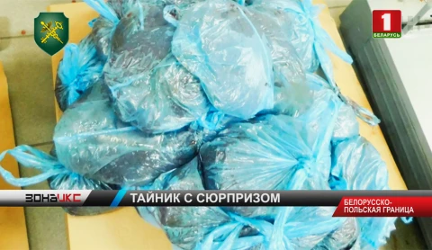 Гражданин Польши пытался ввезти в Беларусь мясную продукцию, спрятав ее в тайниках своего авто Гражданин Польши пытался ввезти в Беларусь мясную продукцию, спрятав ее в тайниках своего авто