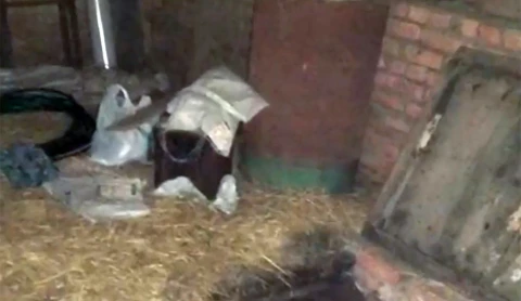 Двое мужчин в Дрибинском районе попали в больницу после дегустации неизвестного вещества Двое мужчин в Дрибинском районе попали в больницу после дегустации неизвестного вещества