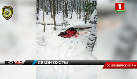 По горячим следам инспекторы природоохраны в Осиповичском районе поймали браконьера По горячим следам инспекторы природоохраны в Осиповичском районе поймали браконьера
