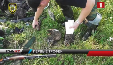 Данные за первые дни сезона охоты на пернатых Данные за первые дни сезона охоты на пернатых
