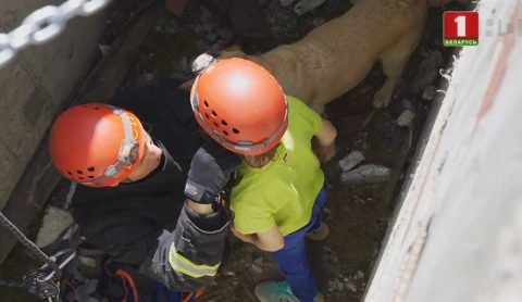 Истории спасения 08.12.2019 Истории спасения 08.12.2019