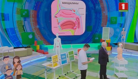 Хронический тонзиллит: симптомы и лечение Хронический тонзиллит: симптомы и лечение