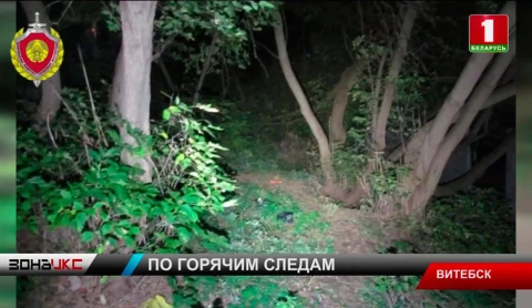 В Витебске злоумышленник подкрался со спины к случайной прохожей и похитил у нее сумочку В Витебске злоумышленник подкрался со спины к случайной прохожей и похитил у нее сумочку