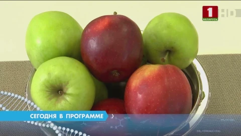 Малярия | Яблоки: чего мы о них не знаем | Лазерная коагуляция сетчатки глаза Малярия | Яблоки: чего мы о них не знаем | Лазерная коагуляция сетчатки глаза