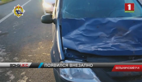 Олень стал жертвой ДТП в Белыничском районе Олень стал жертвой ДТП в Белыничском районе