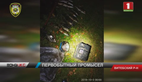 На озеро Шевино Витебского района двое мужчин пришли с острогой в руках. Браконьеров задержали На озеро Шевино Витебского района двое мужчин пришли с острогой в руках. Браконьеров задержали