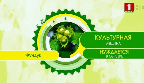 Дача (27.03.2021) Дача (27.03.2021)