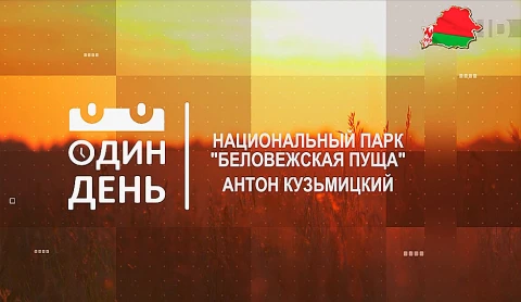 Антон Кузьмицкий - орнитолог, научный сотрудник Национального парка "Беловежская пуща" Антон Кузьмицкий - орнитолог, научный сотрудник Национального парка "Беловежская пуща"