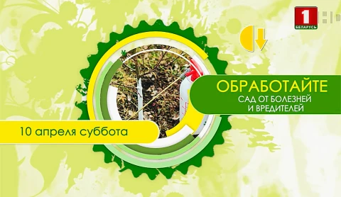 Дача (03.04.2021) Дача (03.04.2021)