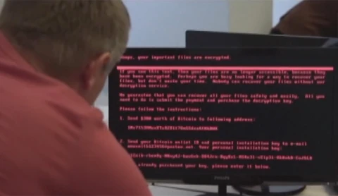 Сразу несколько групп кардеров изобличили белорусские правоохранители Сразу несколько групп кардеров изобличили белорусские правоохранители