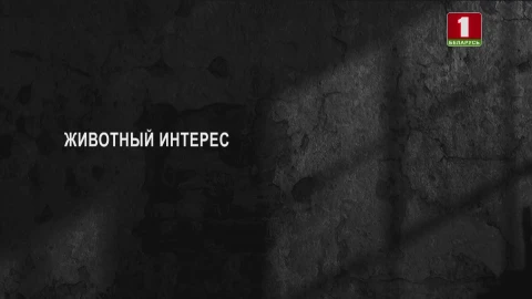 Тайны следствия | Животный интерес Тайны следствия | Животный интерес