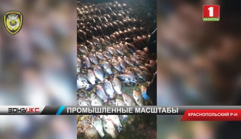 Работая по старой схеме, трое рыбаков из Краснопольского района заработали на уголовные статьи Работая по старой схеме, трое рыбаков из Краснопольского района заработали на уголовные статьи