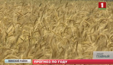 Главный эфир 14.07.2019 Главный эфир 14.07.2019