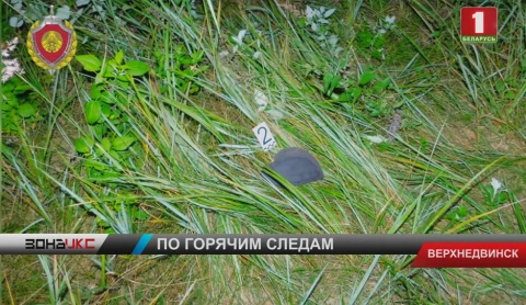 В Верхнедвинске задержали мужчину, подозреваемого в попытке изнасилования В Верхнедвинске задержали мужчину, подозреваемого в попытке изнасилования