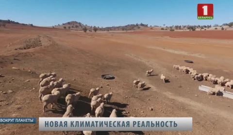 Вокруг планеты | К 2050 году температура Земли повысится на 4-5 градусов по Цельсию Вокруг планеты | К 2050 году температура Земли повысится на 4-5 градусов по Цельсию
