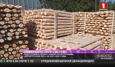 Подготовлен проект новой госпрограммы "Белорусский лес" на ближайшие 5 лет Подготовлен проект новой госпрограммы "Белорусский лес" на ближайшие 5 лет