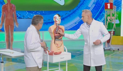 10 фактов о гибридных продуктах 10 фактов о гибридных продуктах