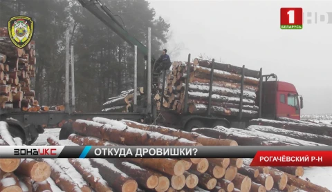 В Рогачeвском районе защитникам природы удалось раскрыть кражу В Рогачeвском районе защитникам природы удалось раскрыть кражу
