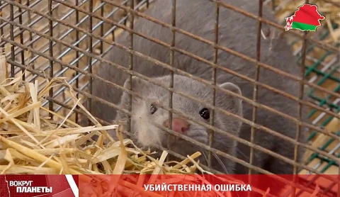 Убийственная ошибка Убийственная ошибка