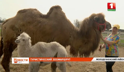 Дорожная карта | Новинки БелАЗа | Пожароопасный сезон | Туристический зоомаршрут Дорожная карта | Новинки БелАЗа | Пожароопасный сезон | Туристический зоомаршрут