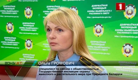 Охота в Столбцовском районе закончилась серьезным разбирательством Охота в Столбцовском районе закончилась серьезным разбирательством