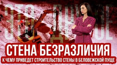 "Стена безразличия". Как поляки уничтожают Беловежскую пущу "Стена безразличия". Как поляки уничтожают Беловежскую пущу