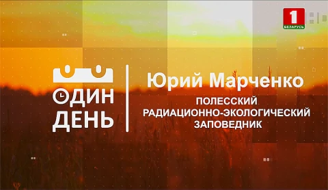 Полесский радиационно-экологический заповедник Юрий Марченко Полесский радиационно-экологический заповедник Юрий Марченко