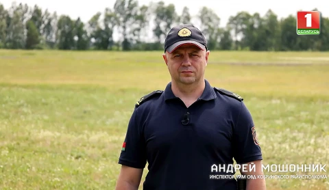 Истории спасения 23.06.2024 Истории спасения 23.06.2024