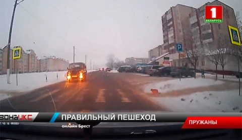Знания ПДД продемонстрировал кот из Пружан Знания ПДД продемонстрировал кот из Пружан