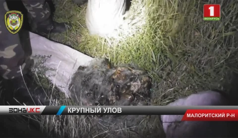 Браконьеры попали в сети стражей флоры и фауны Браконьеры попали в сети стражей флоры и фауны