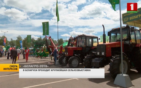 Сфера интересов | В Беларуси проходит крупнейшая сельхозвыставка Сфера интересов | В Беларуси проходит крупнейшая сельхозвыставка
