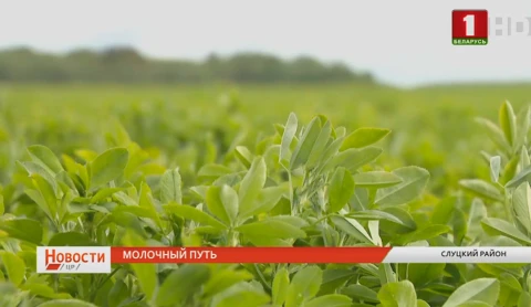 Самые оживленные магистрали Минской области модернизируются Самые оживленные магистрали Минской области модернизируются